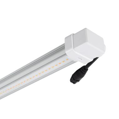 Producto de Tubo LED T8 G13 60 cm de Cultivo Batten Grow 10W