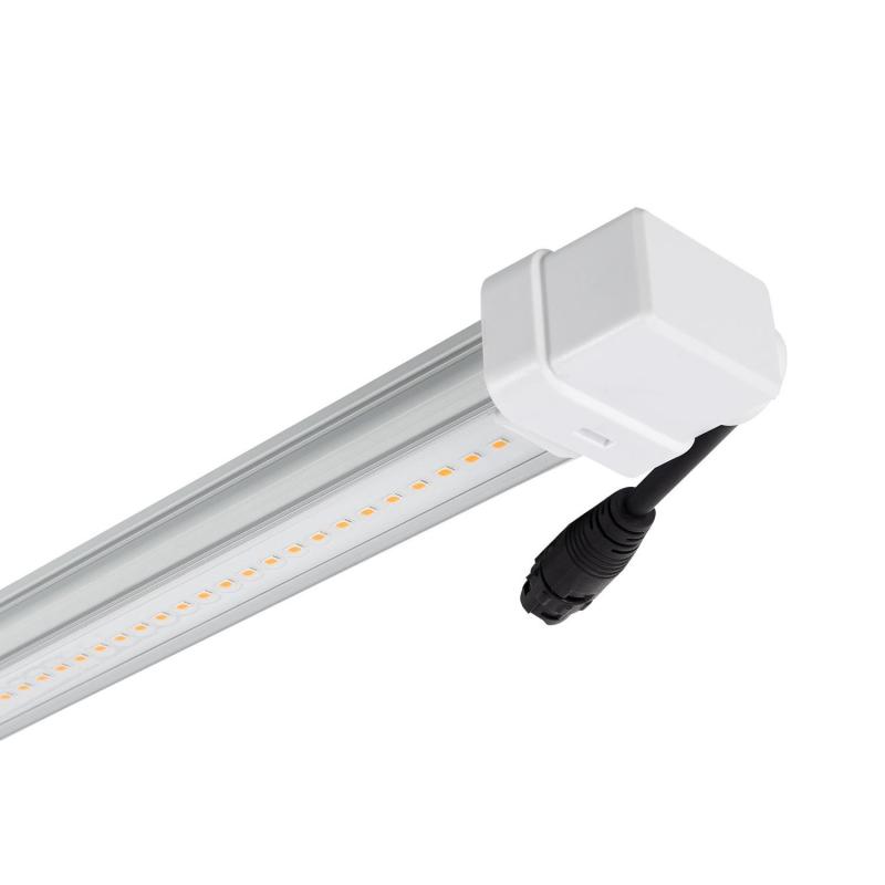 Produto de Tubo LED T8 G13 60 cm de Cultivo Batten Grow 10W