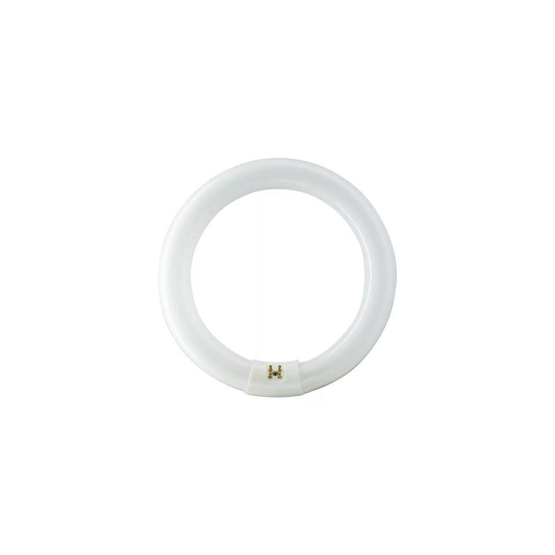 Producto de Tubo Circular C-T29 G10Q Ø30 cm Cristal Una Conexión 32W Super 80 PHILIPS