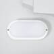 Producto de Plafón LED 25W Oval para Exterior 96x198 mm IP65 Hublot White