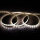 Tira LED 24V DC 60LED/m 5m CCT Seleccionable IP65 Ancho 10mm