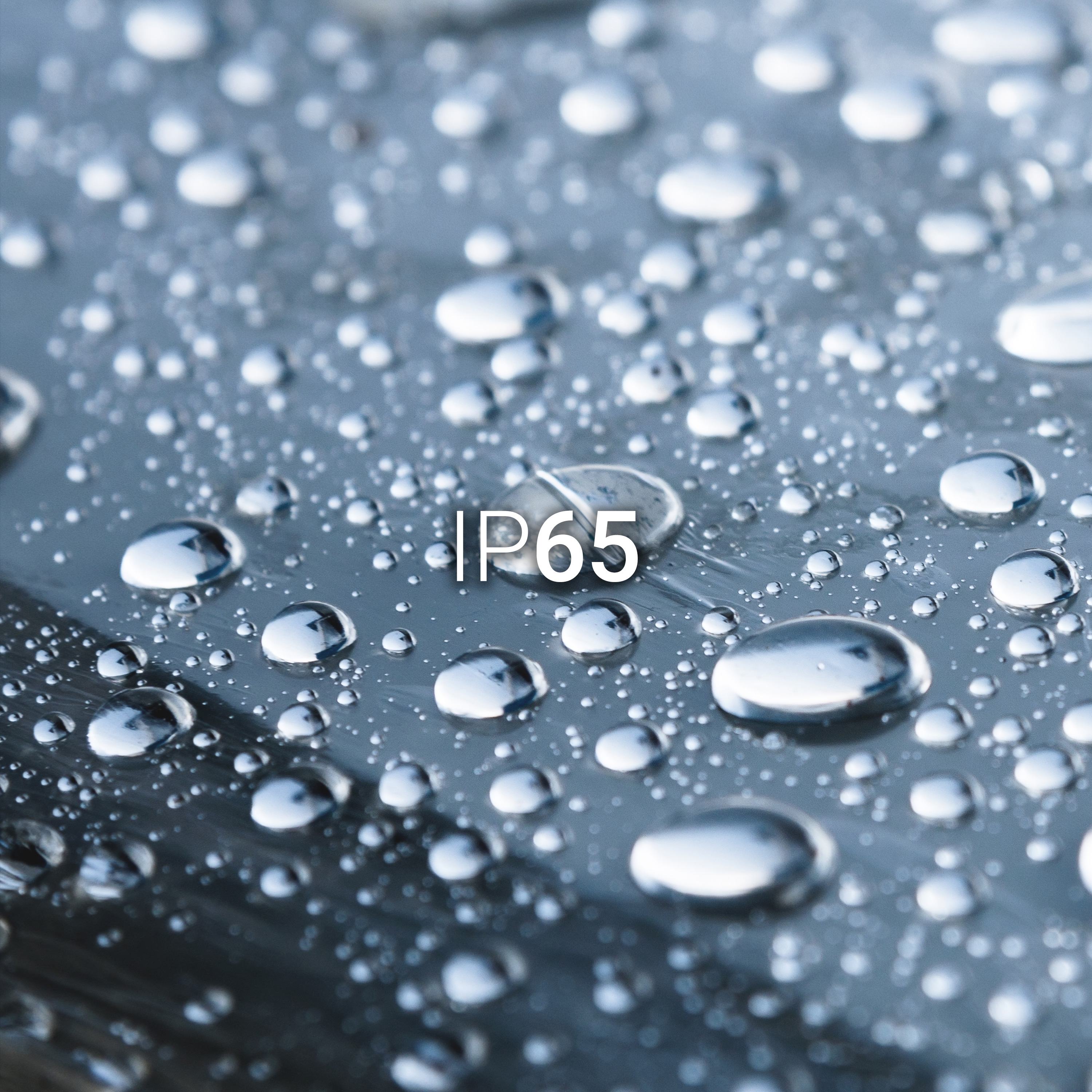 Imagen 8 de 69